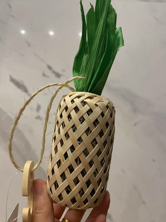 Chenpet Small Pet Natural Timothy Grass Enrichment Toys