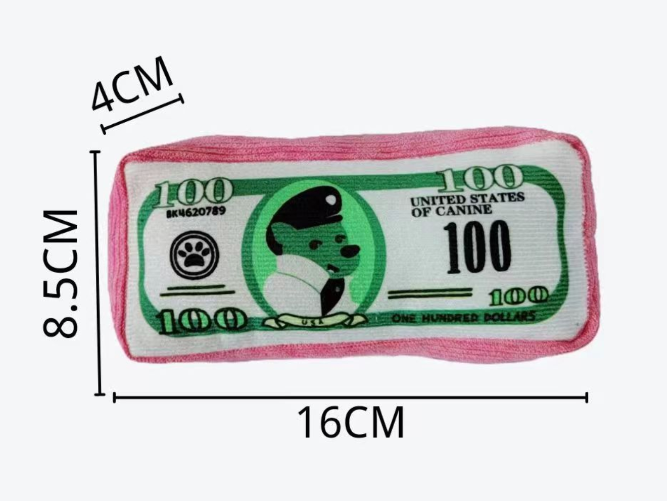 Chenpet Wholesale Squeaker Money Design Pet Plush Toys