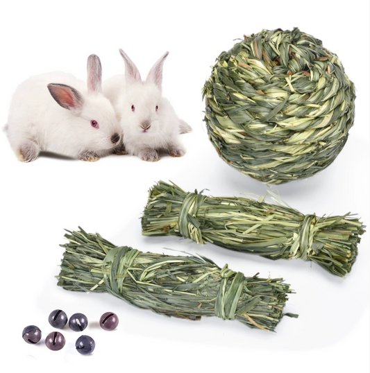 Chenpet Wholesale Timothy Natural Enrichment Small Pets Toys