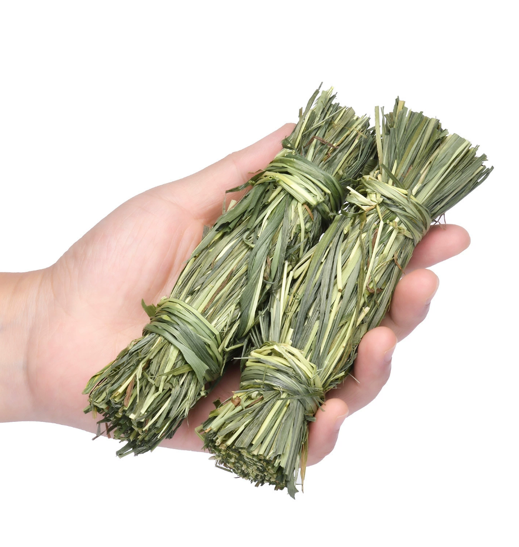 Chenpet Wholesale Timothy Natural Enrichment Small Pets Toys
