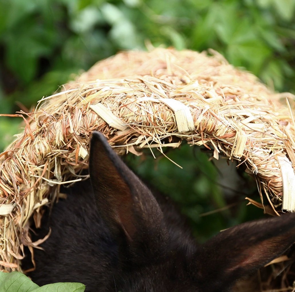 Chenpet Wholesale Natural Grass Hideout Small Pets House