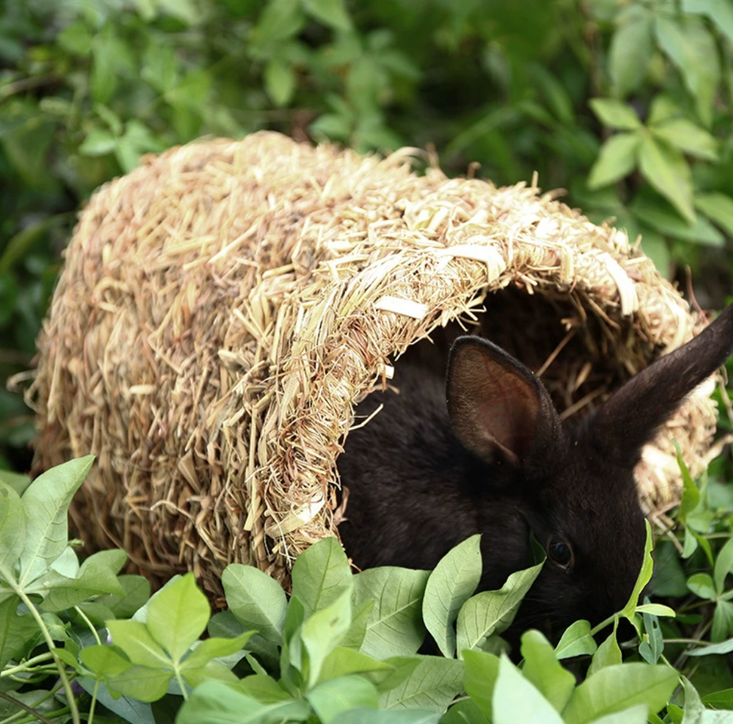 Chenpet Wholesale Natural Grass Hideout Small Pets House