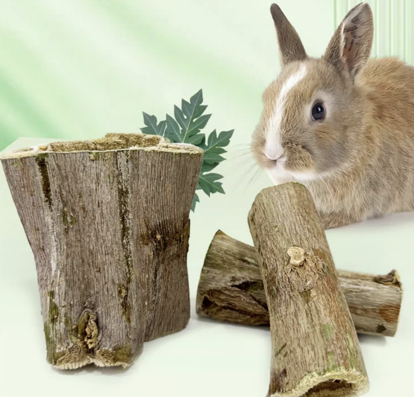 Chenpet Hot Selling Natural Small Pets Chewing Dried Papaya Logs