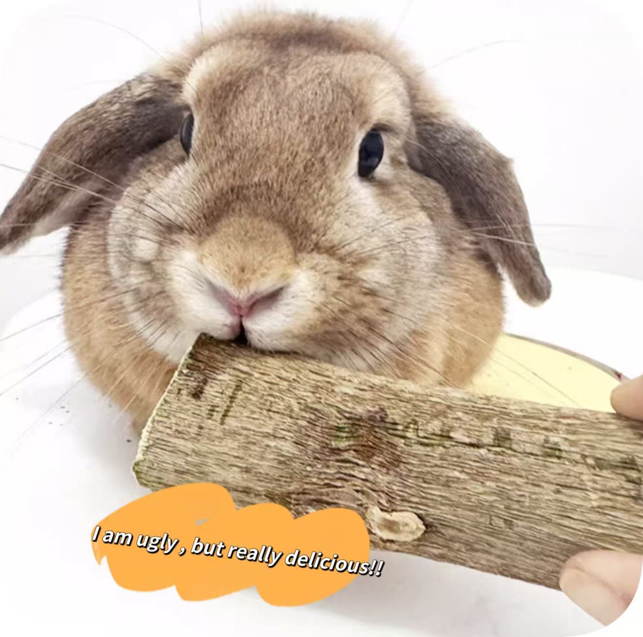 Chenpet Hot Selling Natural Small Pets Chewing Dried Papaya Logs