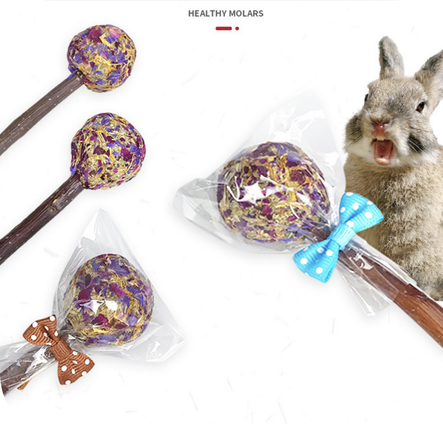 Chenpet Natural Dried Flowers Small Pets Chewing Candy Toys