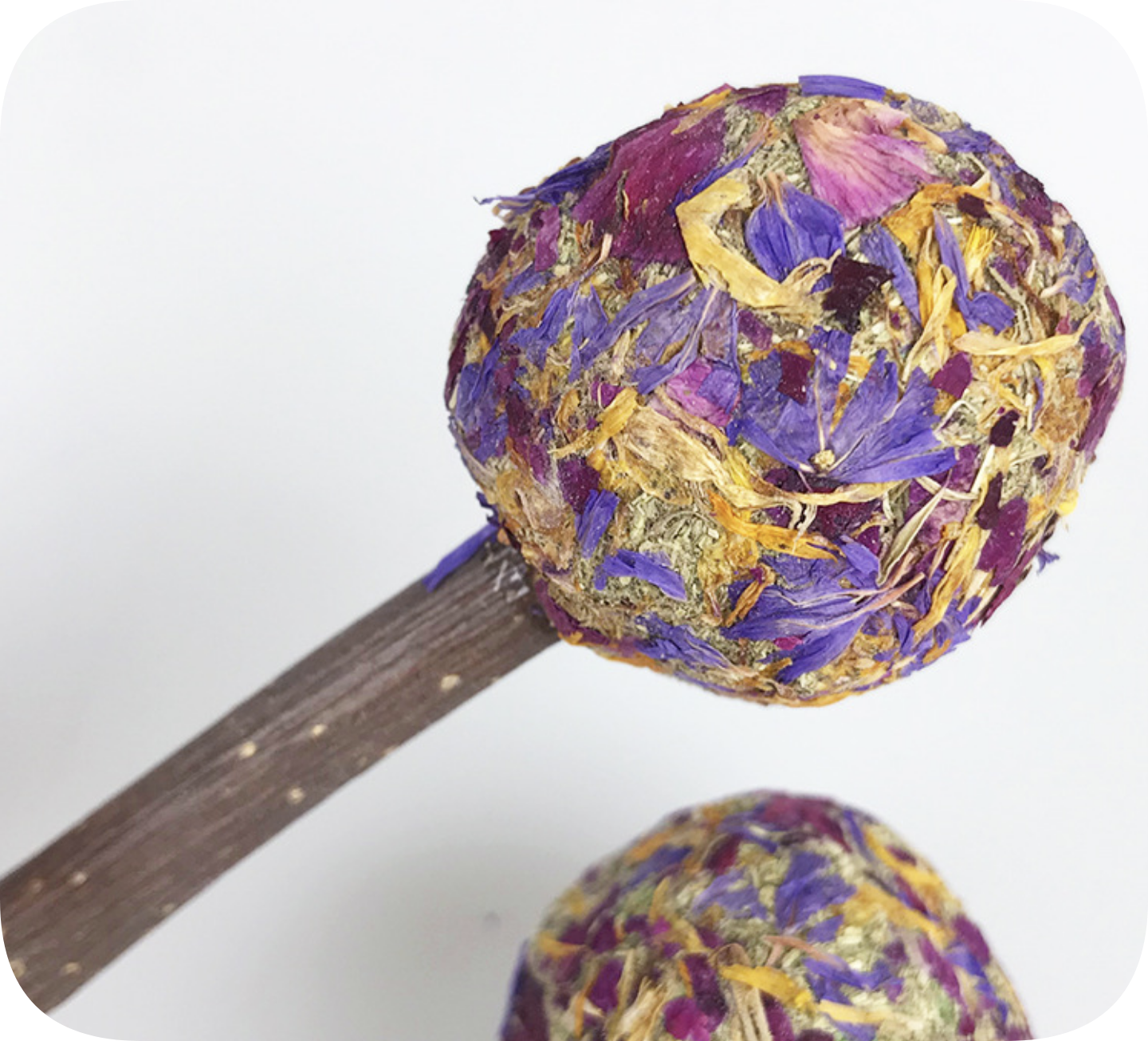 Chenpet Natural Dried Flowers Small Pets Chewing Candy Toys