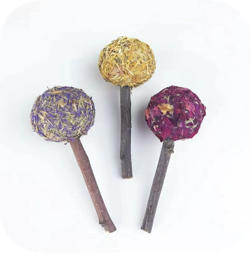Chenpet Natural Dried Flowers Small Pets Chewing Candy Toys