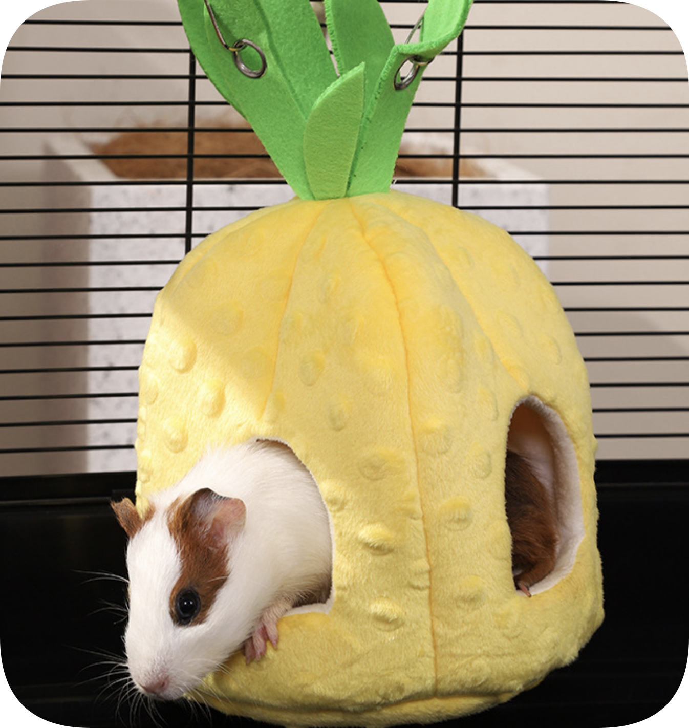 Chenpet Small Pet Fruit Design Hideout Flannel Pet Beds