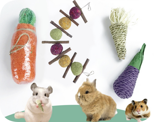 Chenpet Wholesale Natural Chewing Small Pets Play Toys