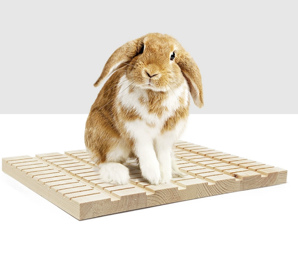 Chenpet High Quality Pine Wood Small Pets  File Nails
