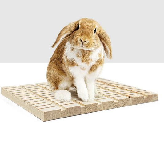 Chenpet High Quality Pine Wood Small Pets  File Nails