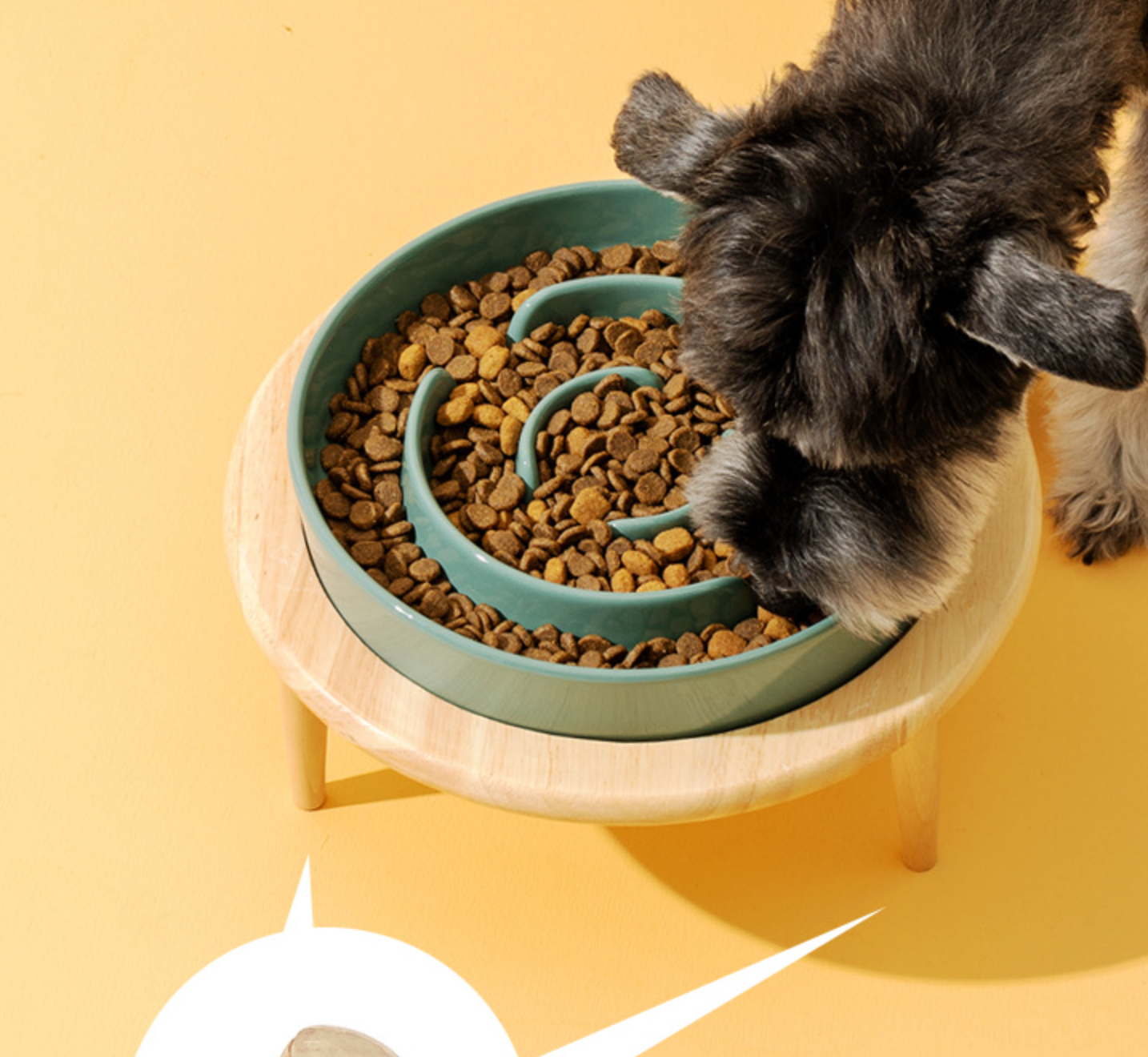 Chenpet Ceramics Pet Bowls Dog Bowls Water Bowls