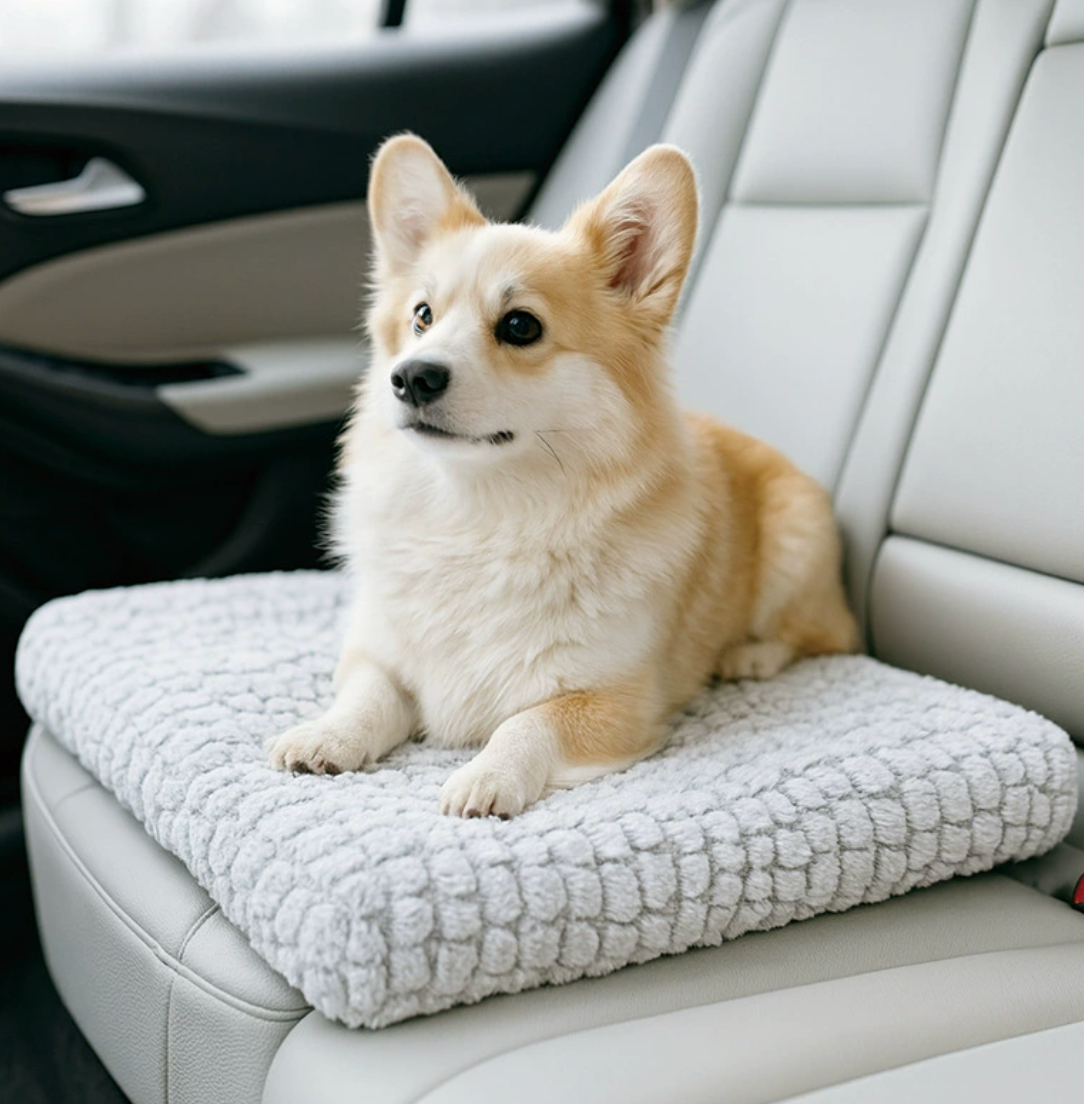 Chenpet Wholesale Hot Selling Cozy Pet Mats Dog Beds