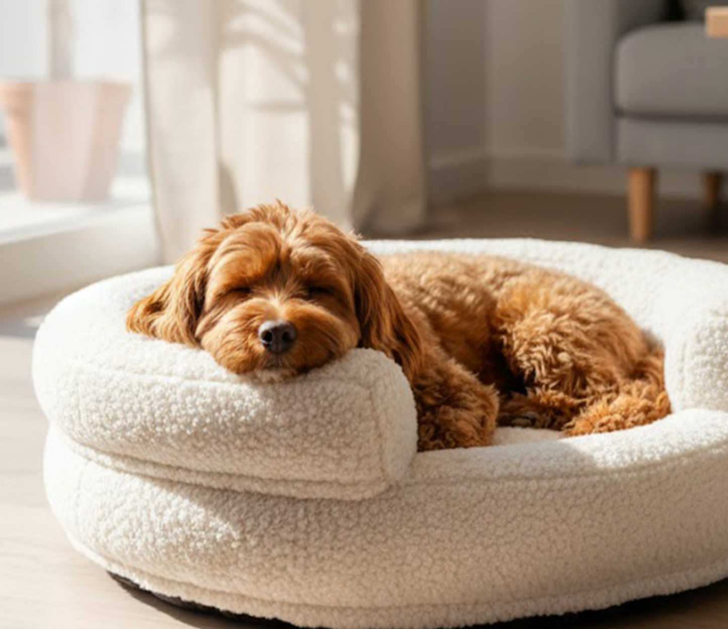 Chenpet New Design Cloud Velvet Winter Machine Wash Pet Beds