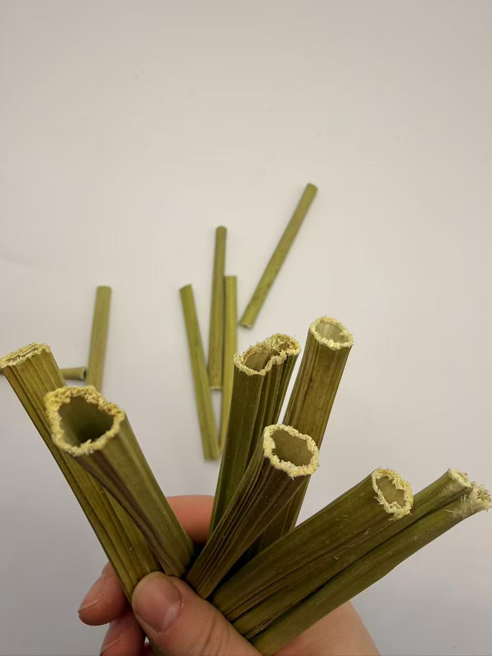 Chenpet New Arrive Natural Small Pets Toys