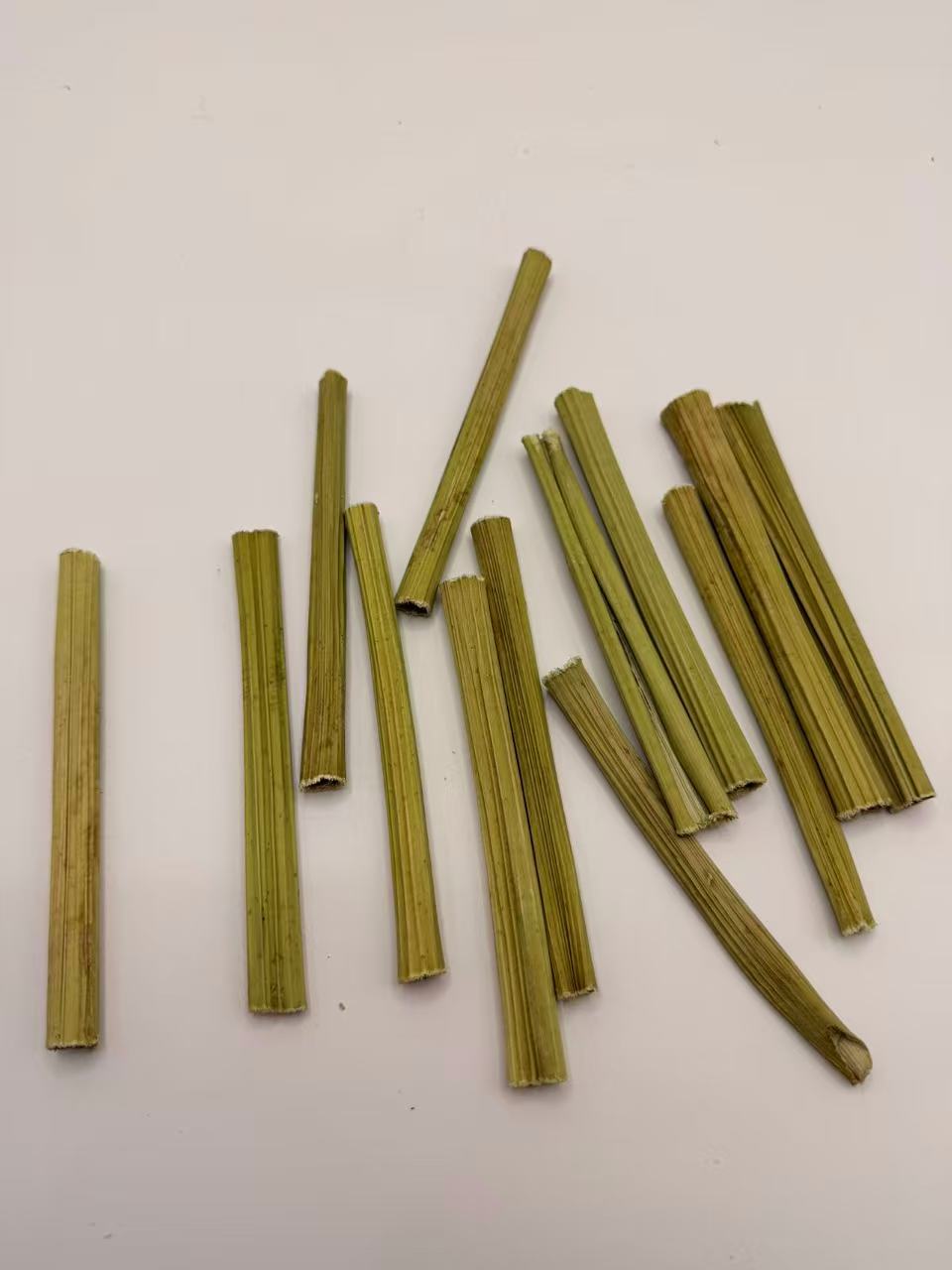 Chenpet New Arrive Natural Small Pets Toys