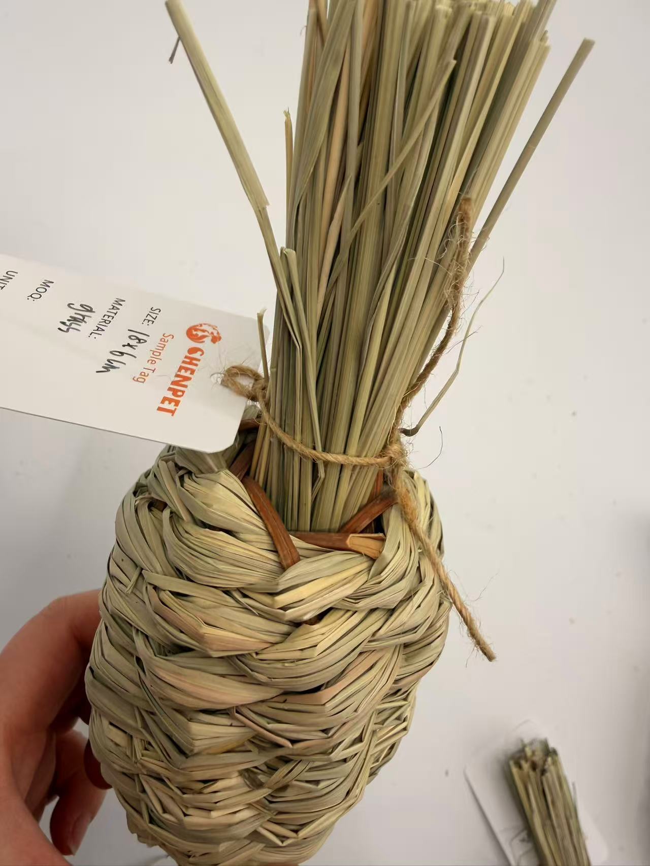 Chenpet Carrot Design Grass Small Pet Chewing Toys