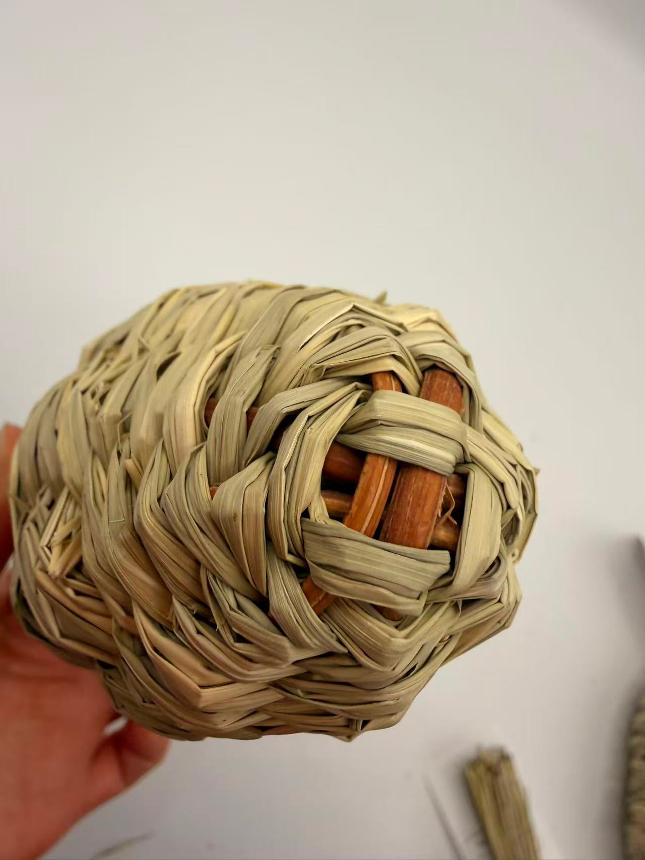 Chenpet Carrot Design Grass Small Pet Chewing Toys