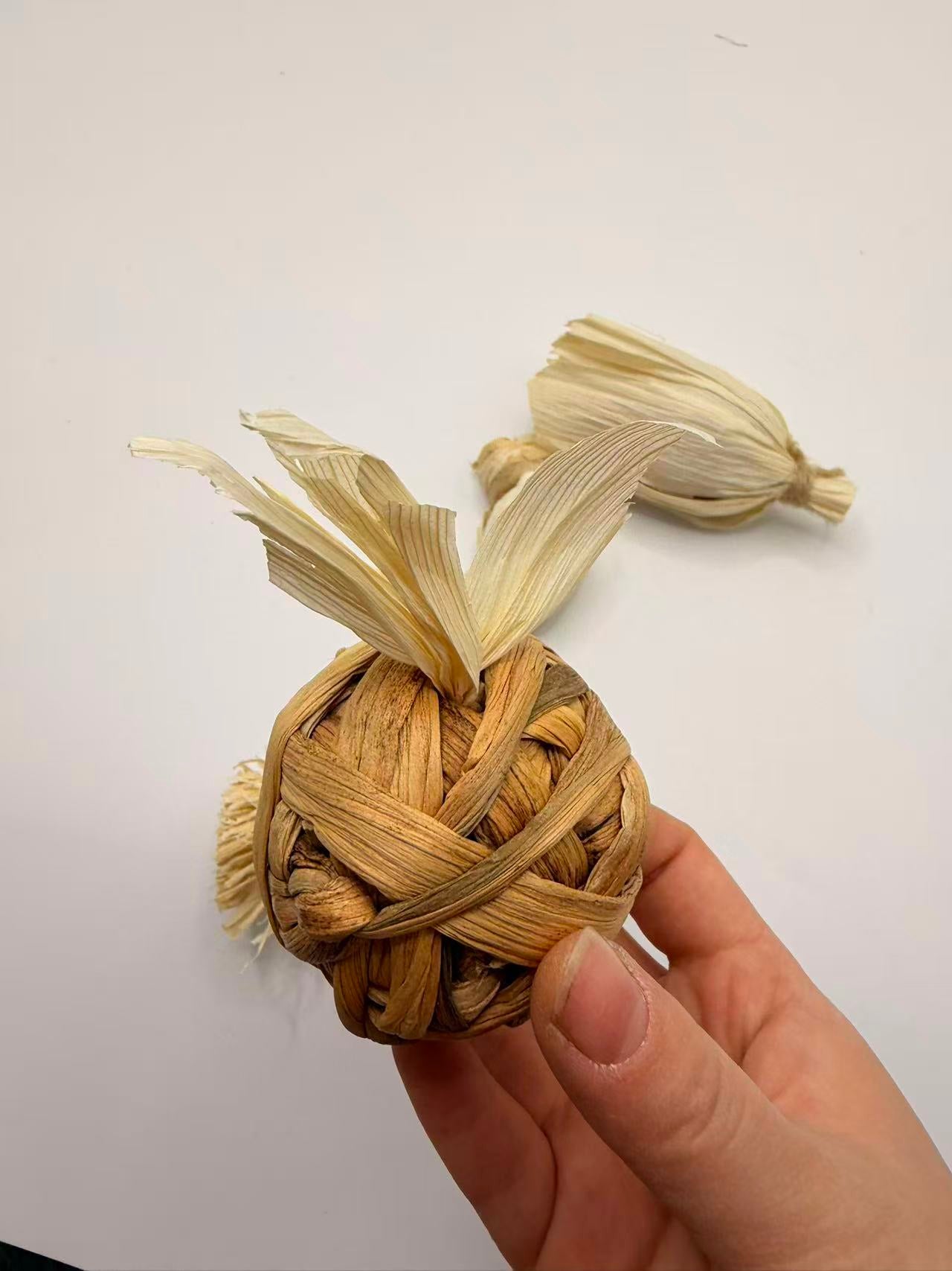 Chenpet Factory New Design Vegetable Series Small Pets Toys