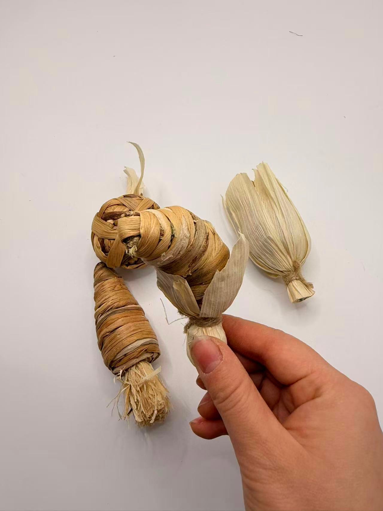 Chenpet Factory New Design Vegetable Series Small Pets Toys