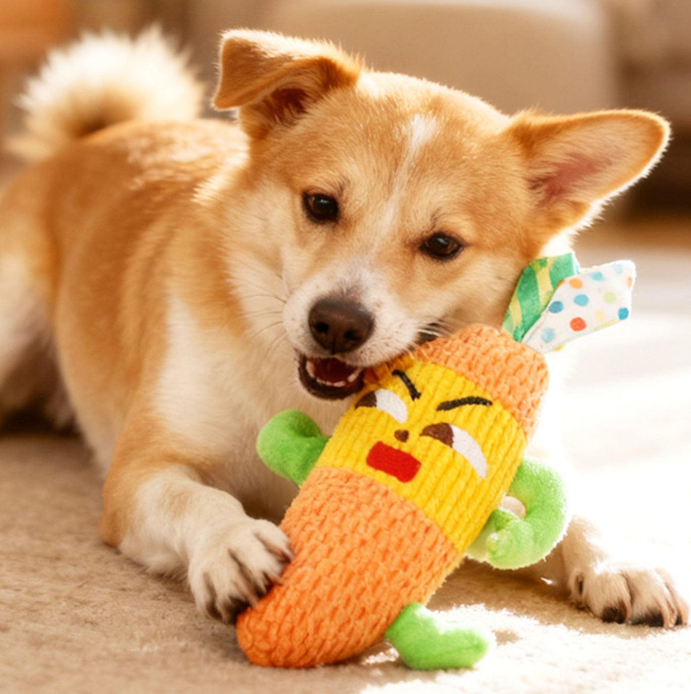 Chenpet New Design Fruit Series Dog Play Chew Toys