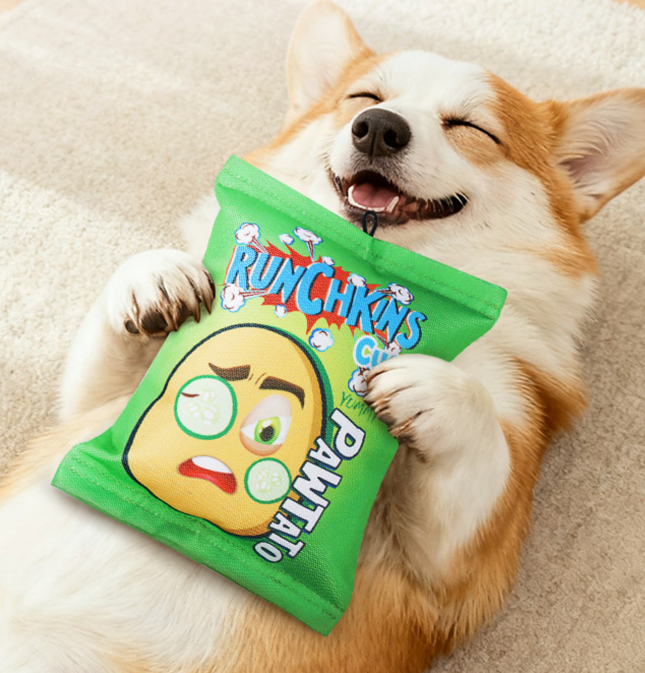 Chenpet Wholesale New Arrival Chip Design Dog Play Toys