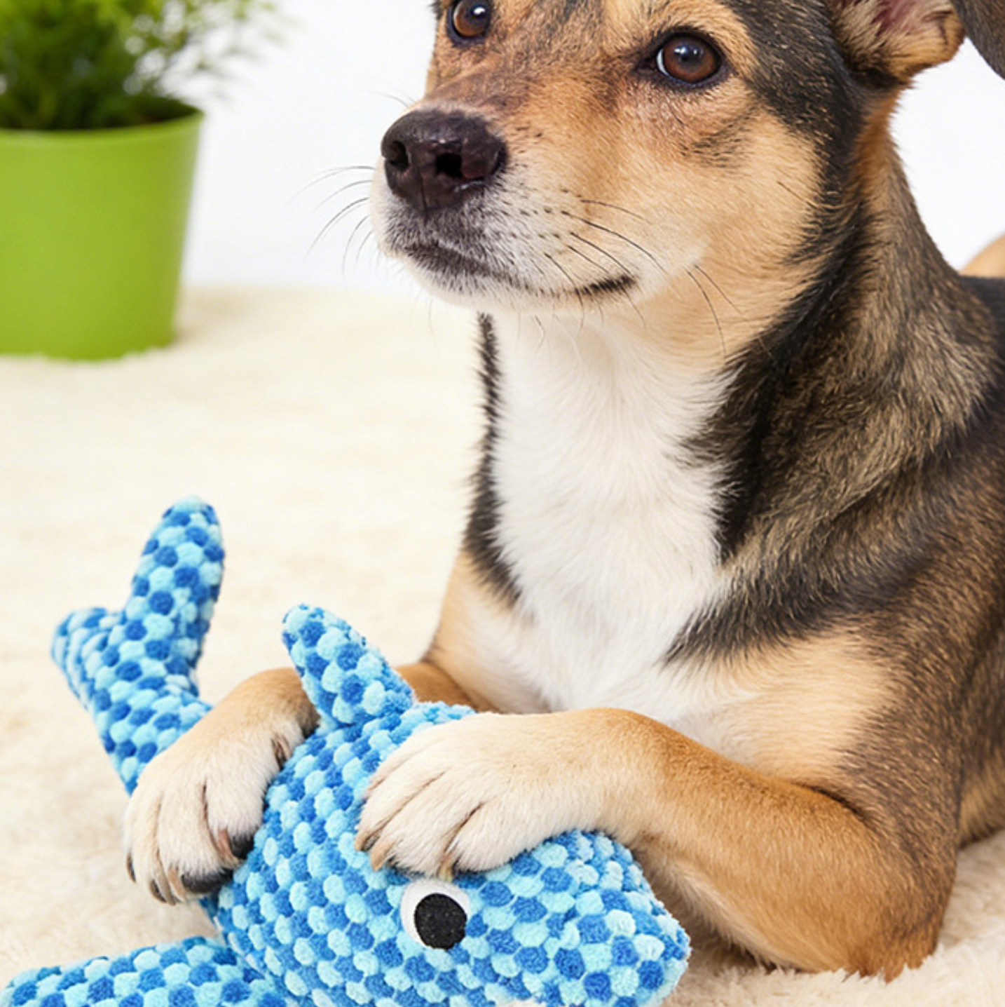 Chenpet Squeaky Companion Toy for Dogs