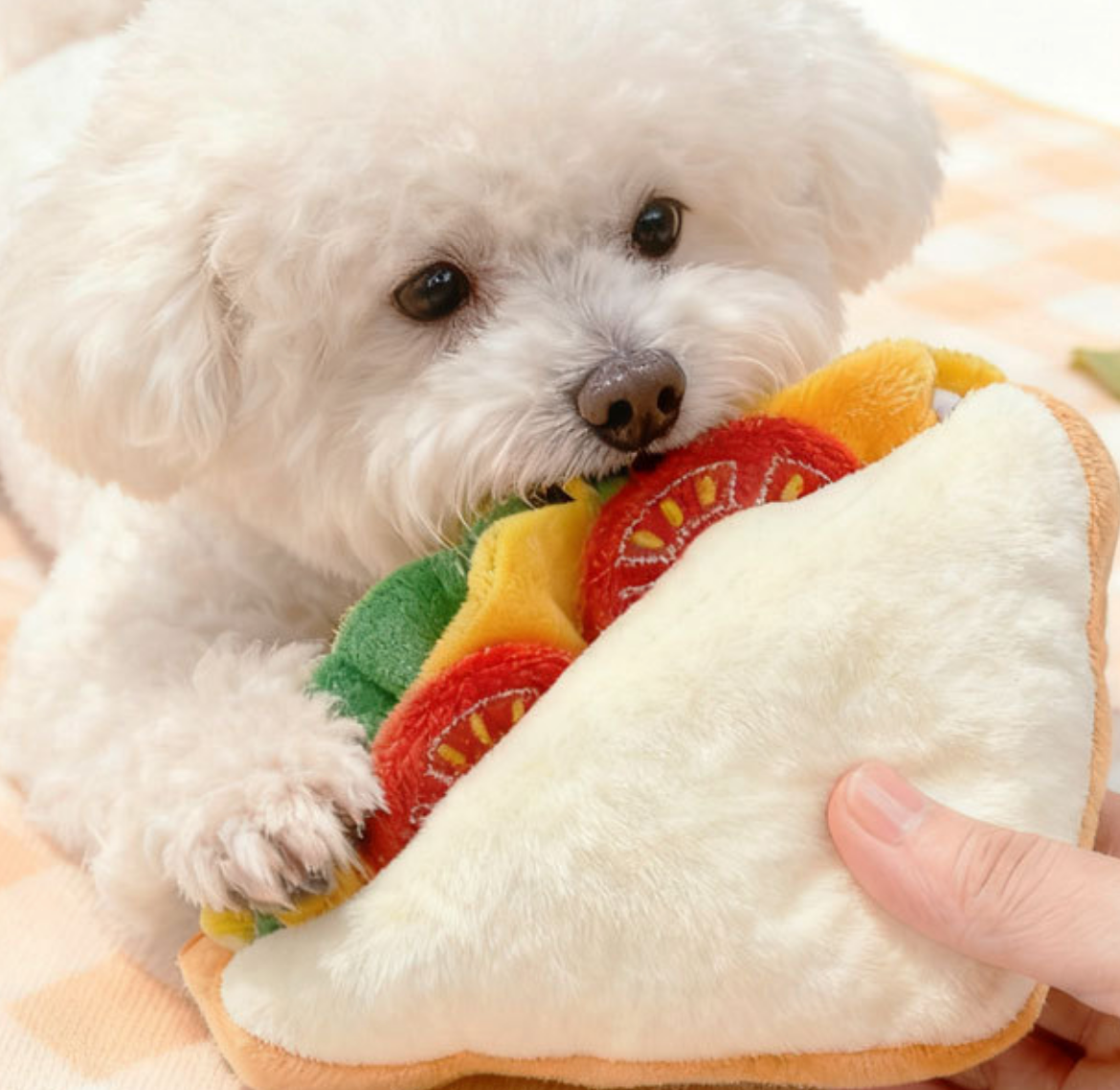 Chenpet Sandwich Store Food Interactive Dog Play Toys