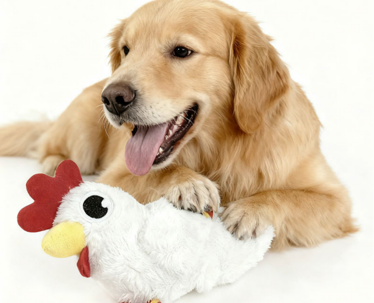 Chenpet Hot Selling Teeth Cleaning Dog Chews Toys