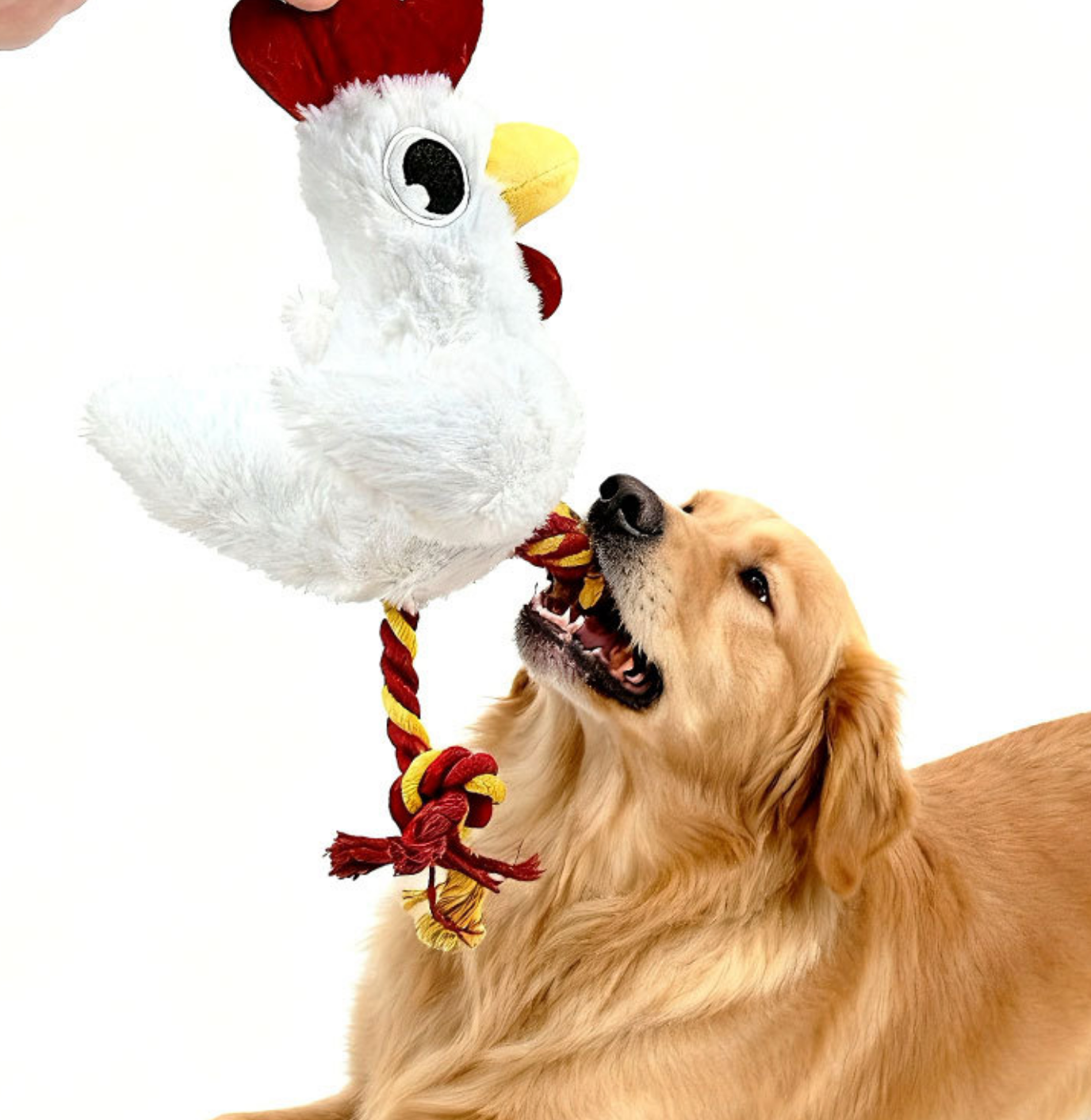 Chenpet Hot Selling Teeth Cleaning Dog Chews Toys