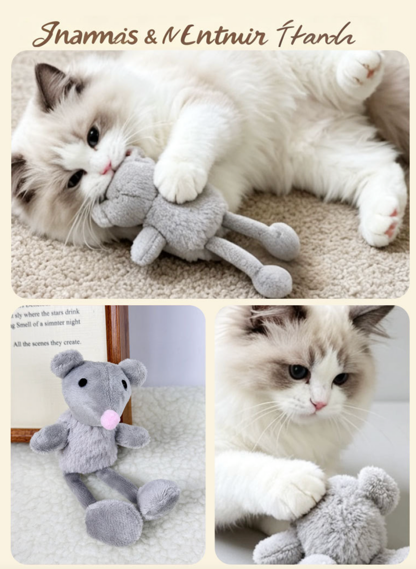 Chenpet New Design Cat Play Plush Toys