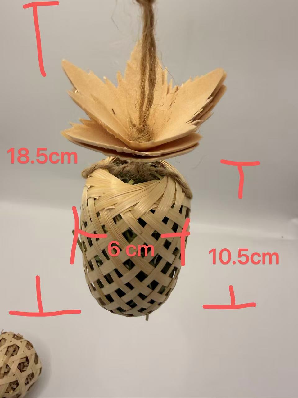 Chenpet Exclusive Natural Small Pets Play Toys
