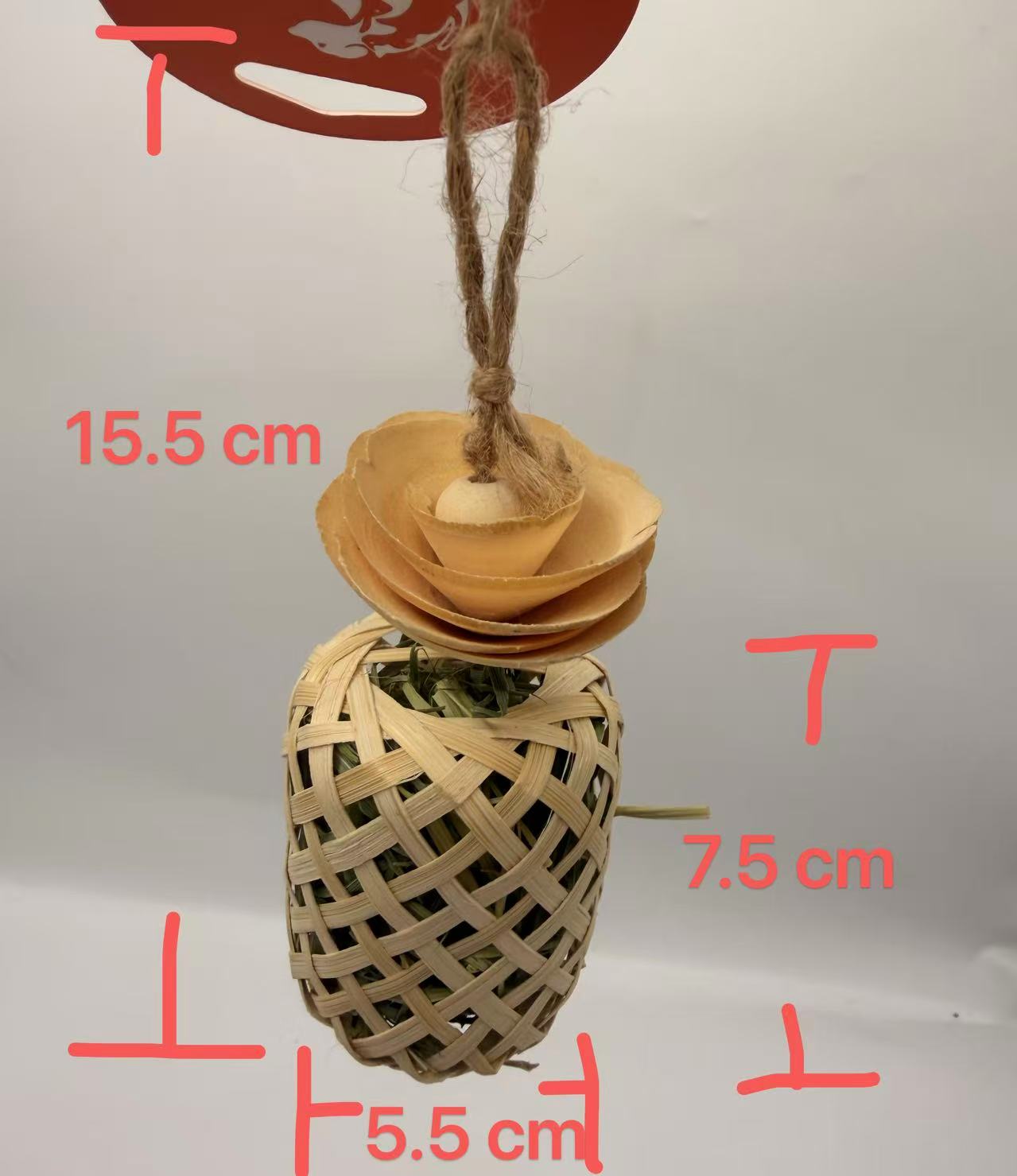 Chenpet Exclusive Natural Small Pets Play Toys