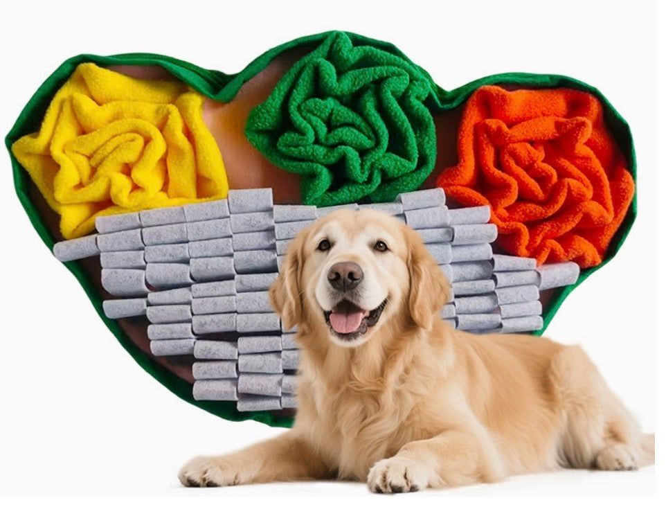 Chenpet Wholesale New Design Fun& Educational Pet Grooming Snuffle Mats