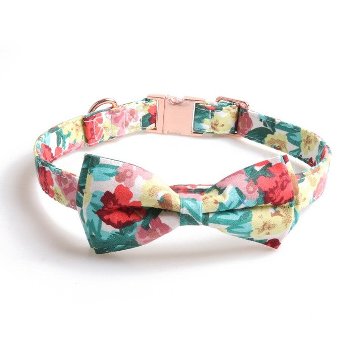 Chenpet Manufacturer High Quality Pet Collars Dog Collars