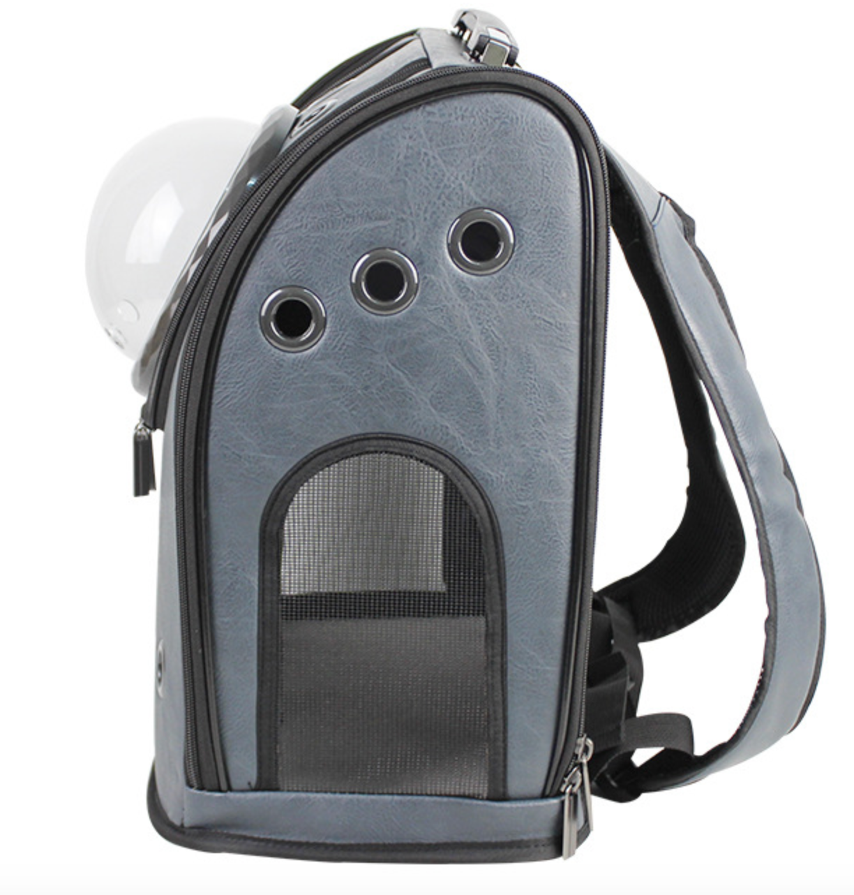 Colorful Customization  Cat Outside Pet Pack bag