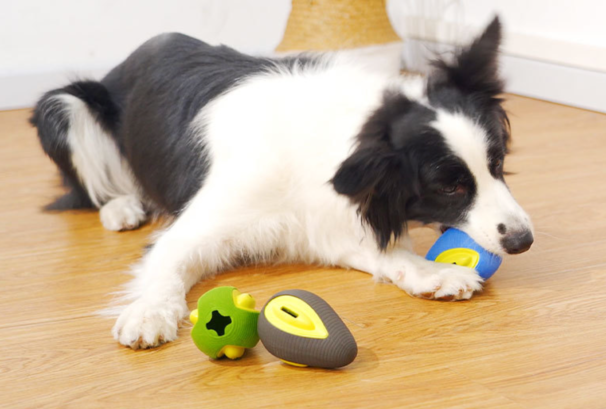 Unique Avocado Design Pet Rubber Dog Toy
