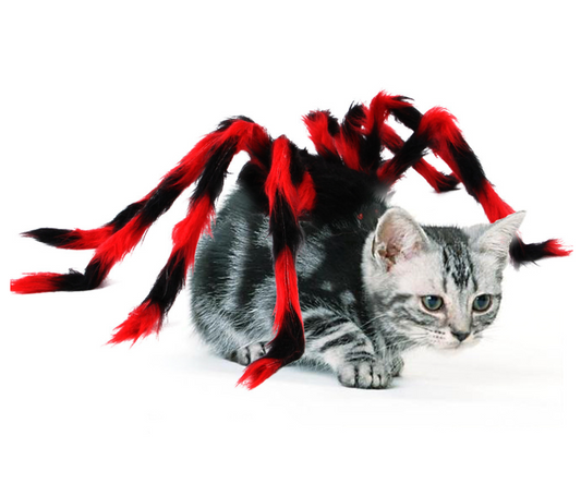 New Design Spider Style Halloween High Quality Pet Accessories