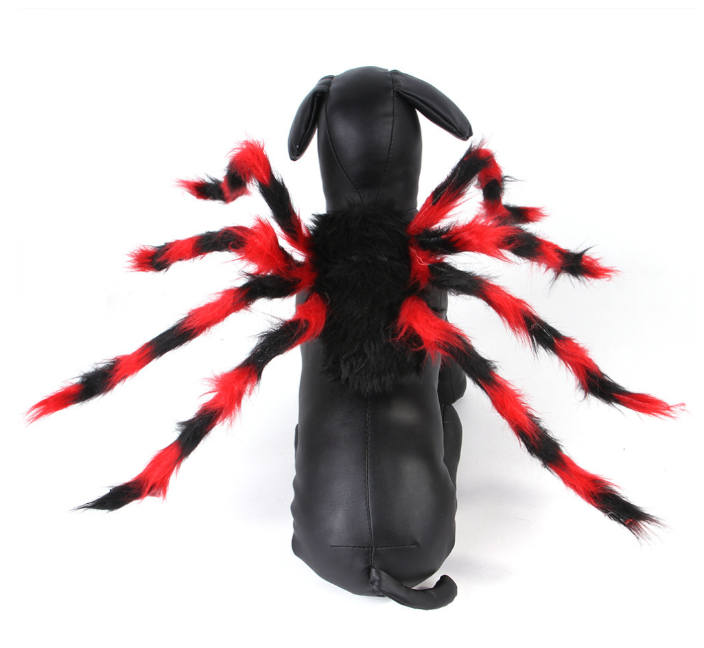 New Design Spider Style Halloween High Quality Pet Accessories