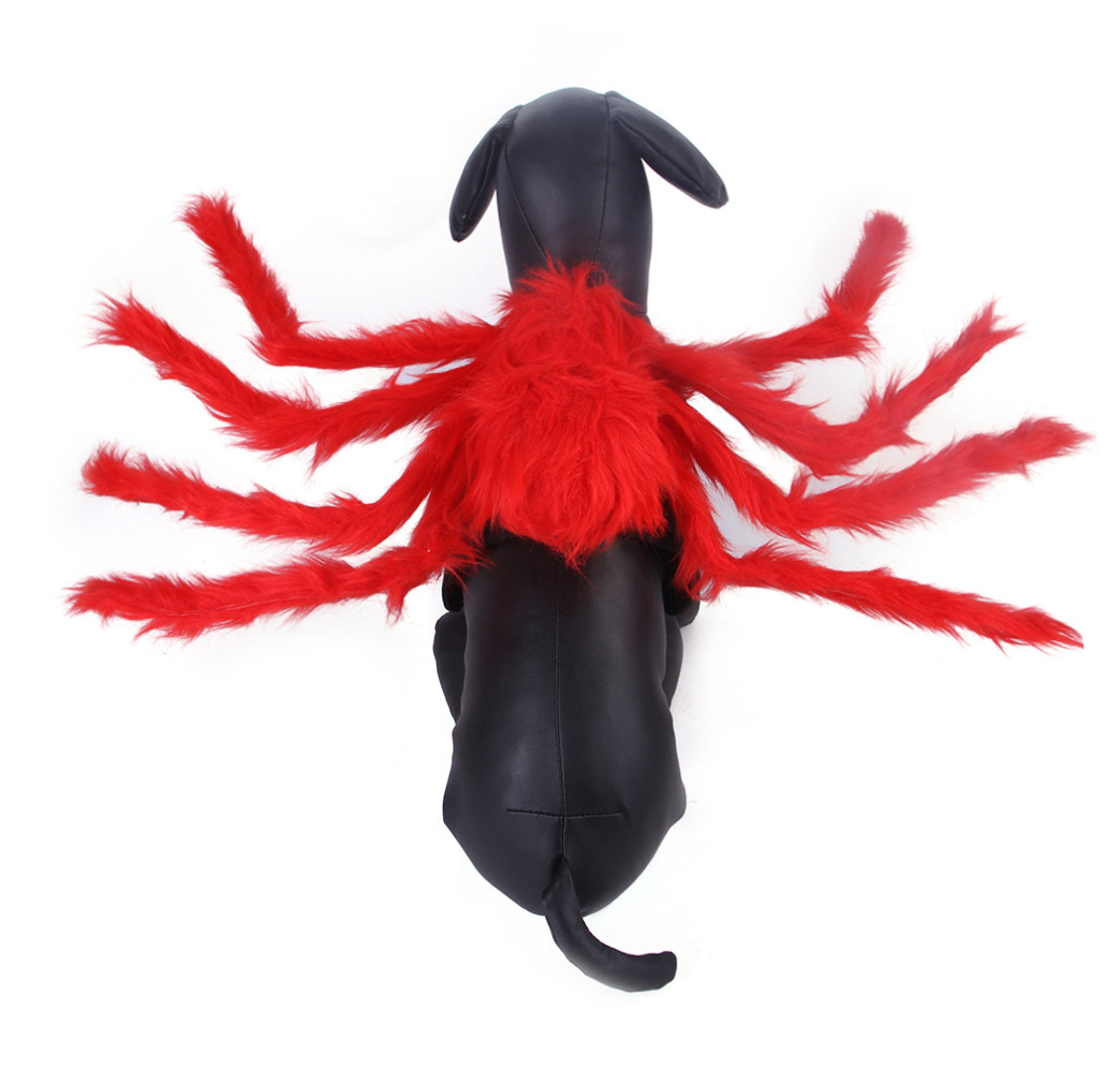 New Design Spider Style Halloween High Quality Pet Accessories