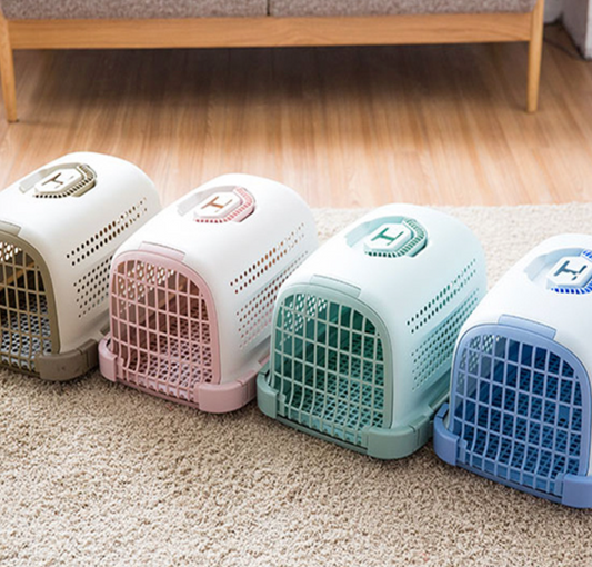 Hot Selling Pet Outside Carrier Airline Box