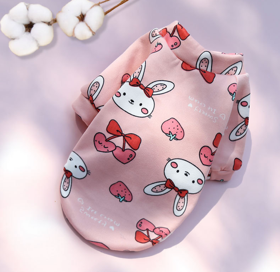 Multi-Choose Lovely  Autumn &Winter Pet Costumes