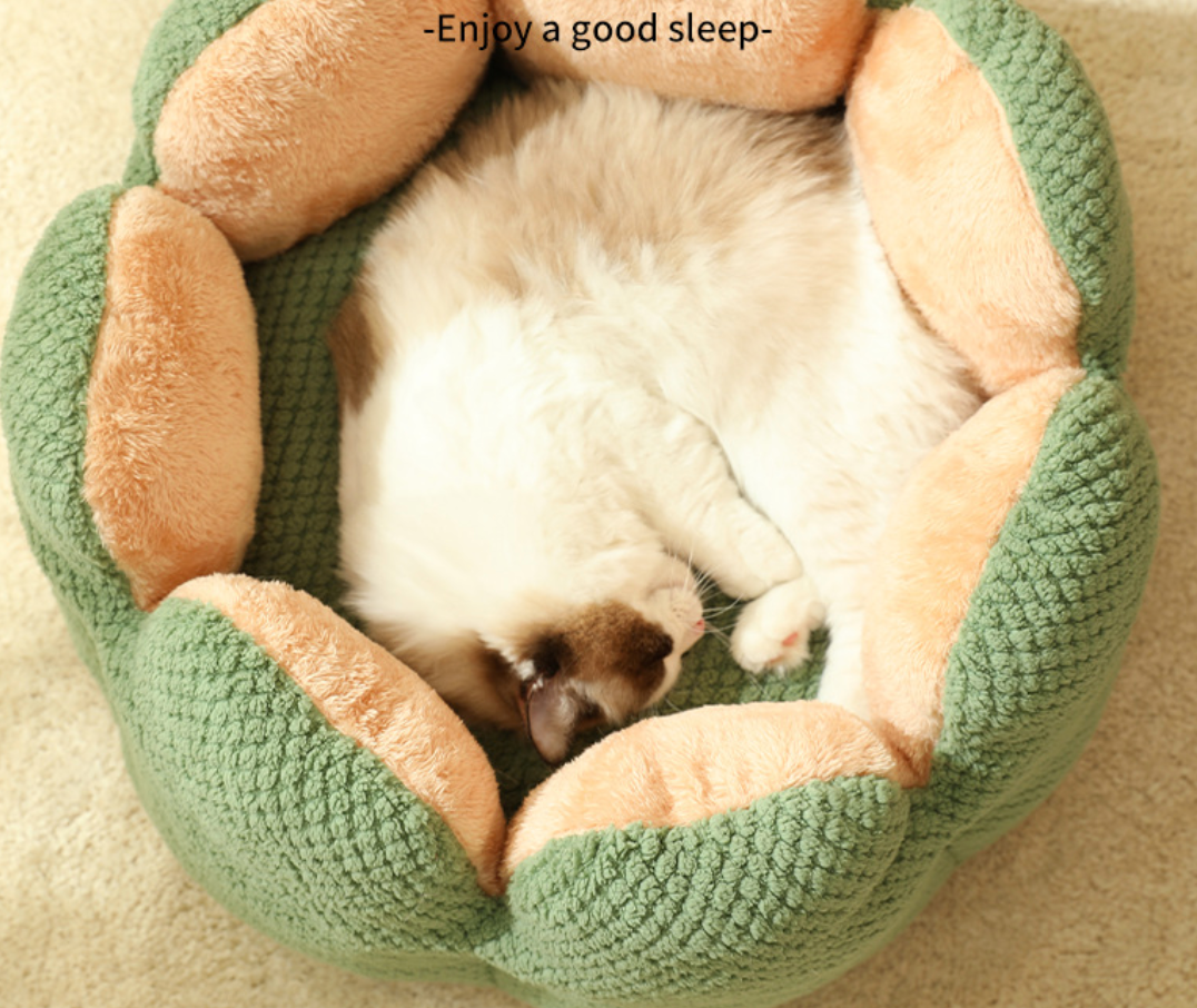 Chenpet New Design Flower Style Plush Winter Pet Beds Cat Bed