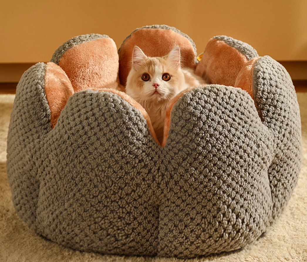 Chenpet New Design Flower Style Plush Winter Pet Beds Cat Bed