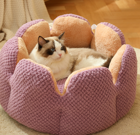 Chenpet New Design Flower Style Plush Winter Pet Beds Cat Bed