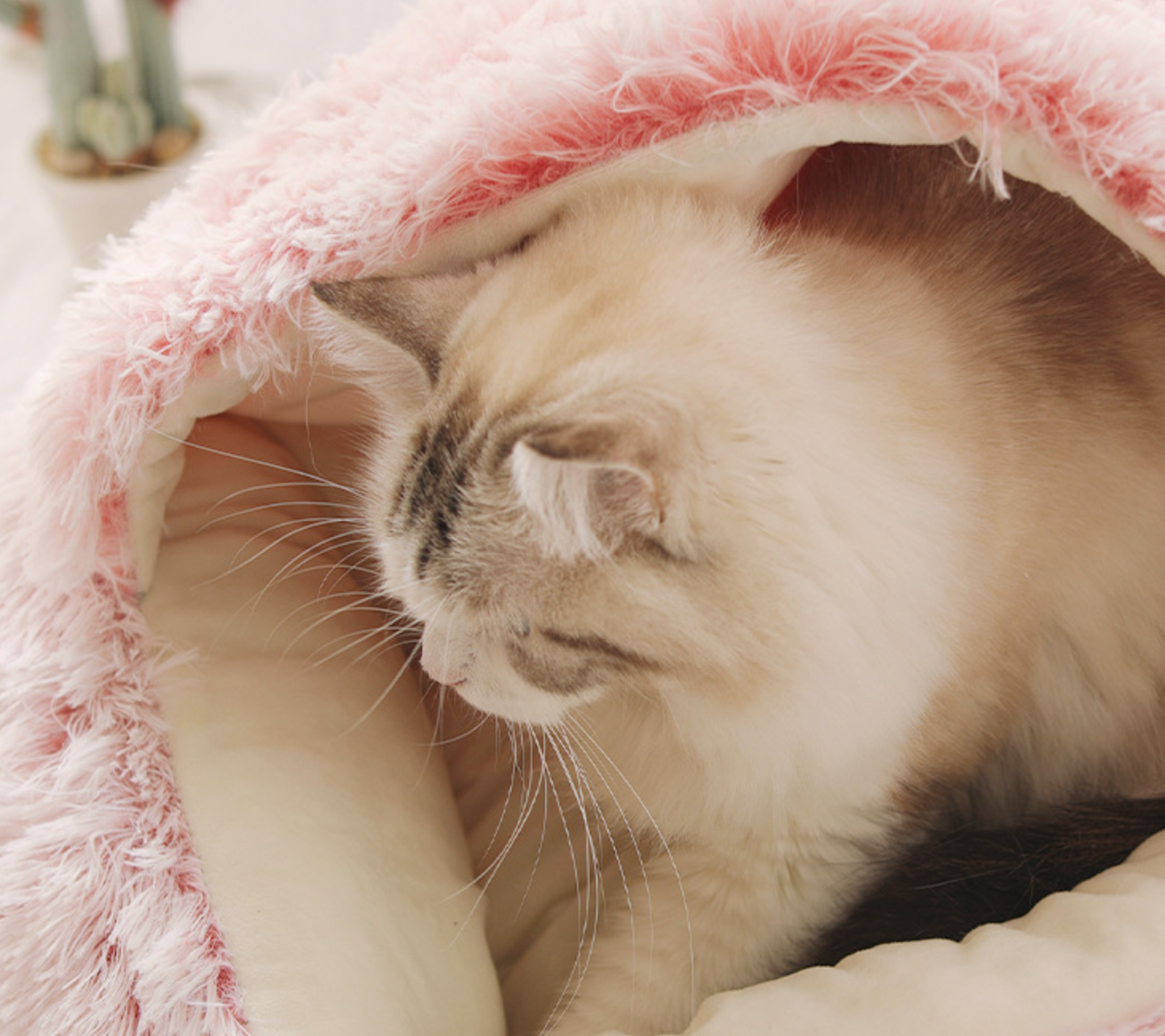 Chenpet Wholesale Upgraded Version Cozy Plush Pet Bed  Cat Customized Bed