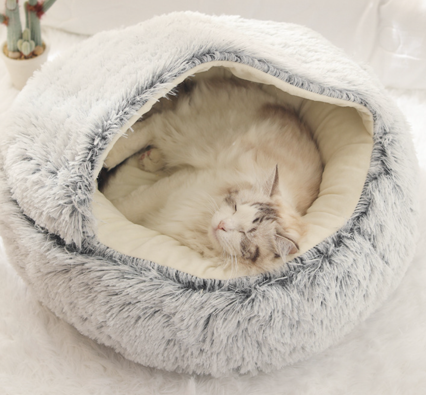Chenpet Wholesale Upgraded Version Cozy Plush Pet Bed  Cat Customized Bed