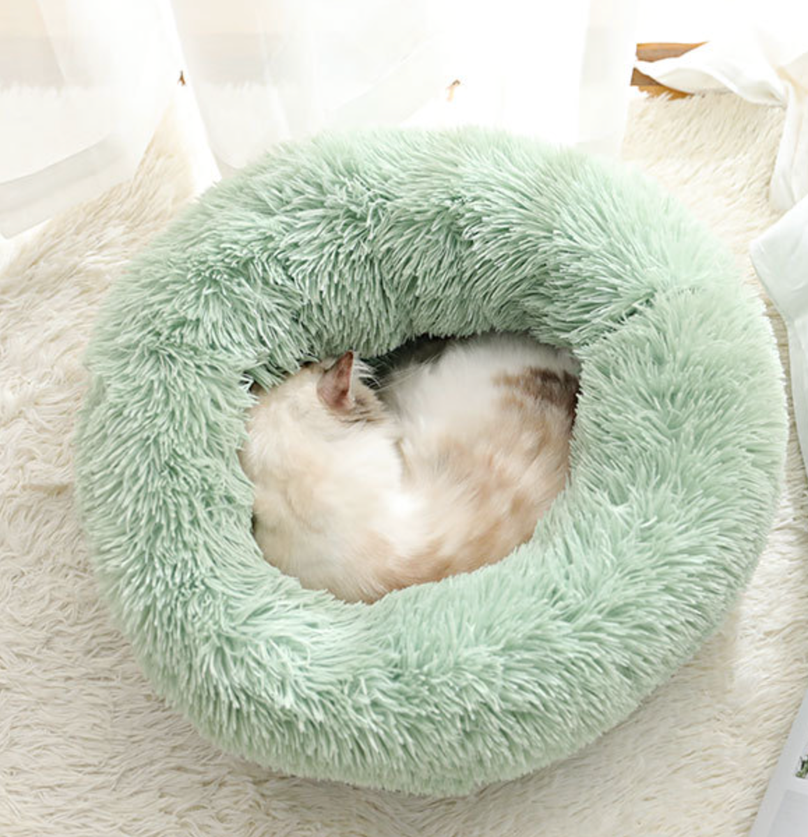 Classic Plush Pet Cozy Beds Colorful Dog Beds Easy Wash Cat Beds
