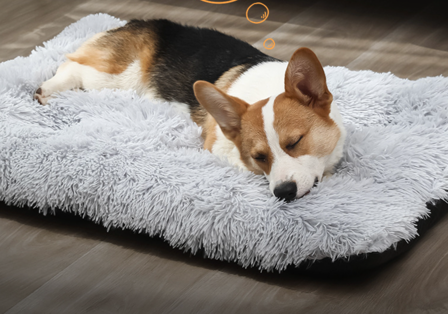 Chen Pet Manufacturers Soft Plush Pet Mat Affordable Pet Bed
