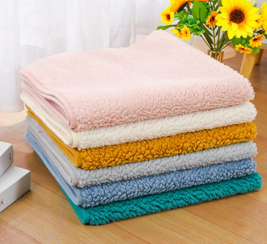 Newest High Quality Indoor Dog Mat Warm Cat Mat